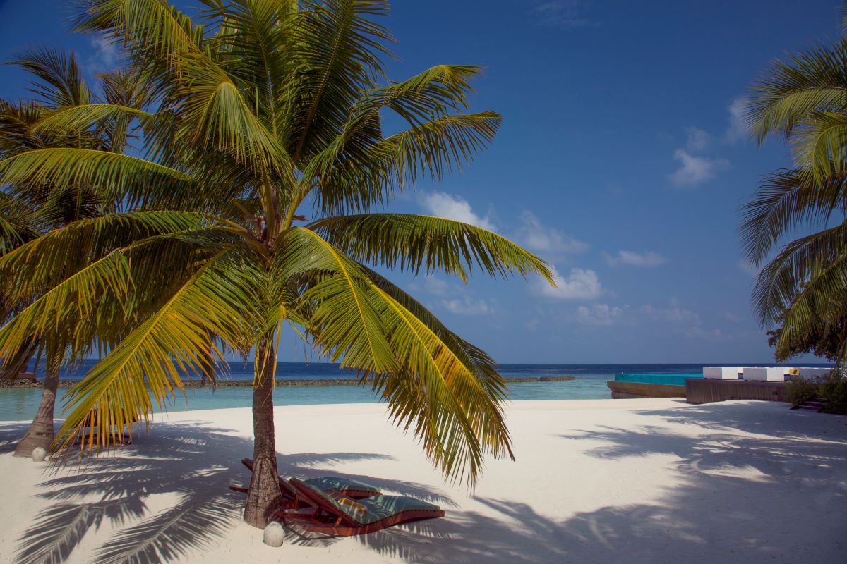 Coco Bodu Hithi