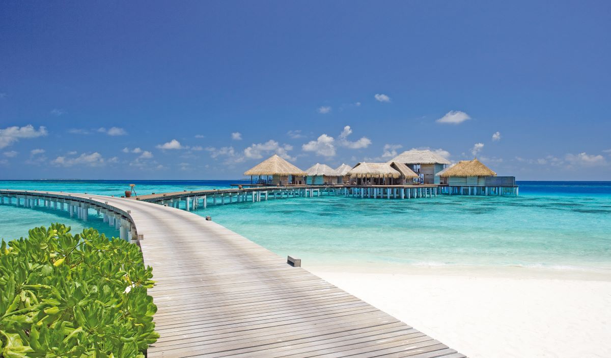 Coco Bodu Hithi