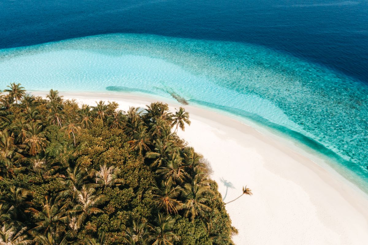 Coco Palm Dhuni Kolhu