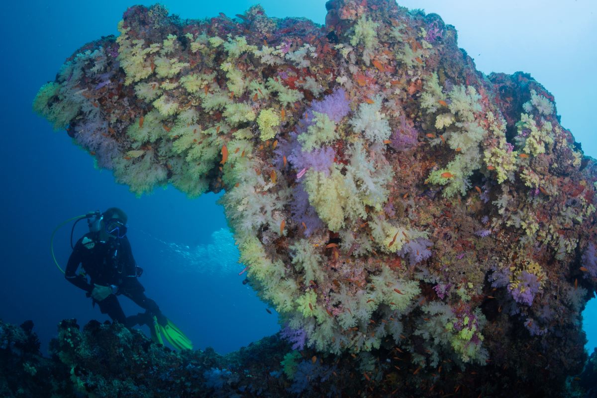 OBLU NATURE Helengeli by SENTIDO