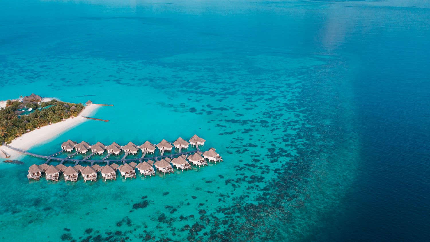 Drift Thelu Veliga Retreat