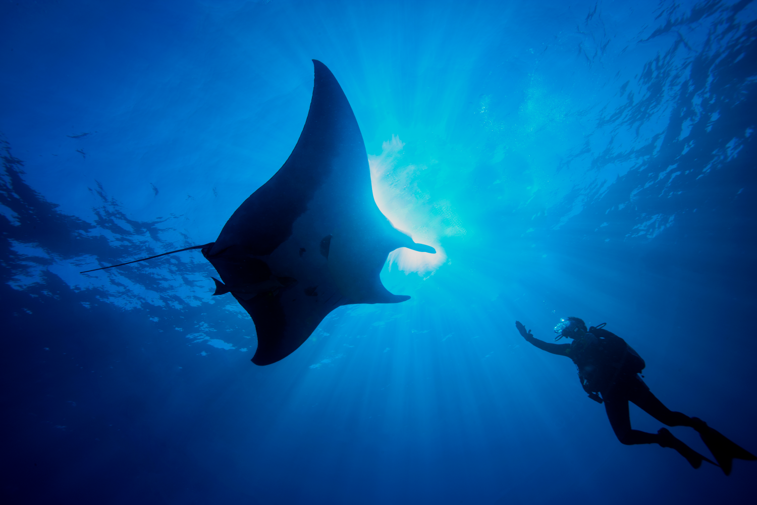 Dusit Thani Maldives