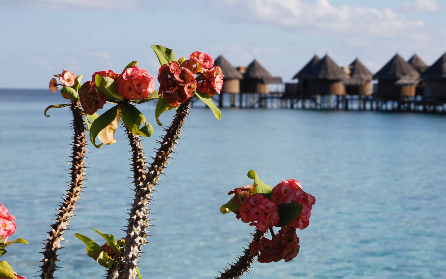 Nika_Island_Resort_Water_Villa_4