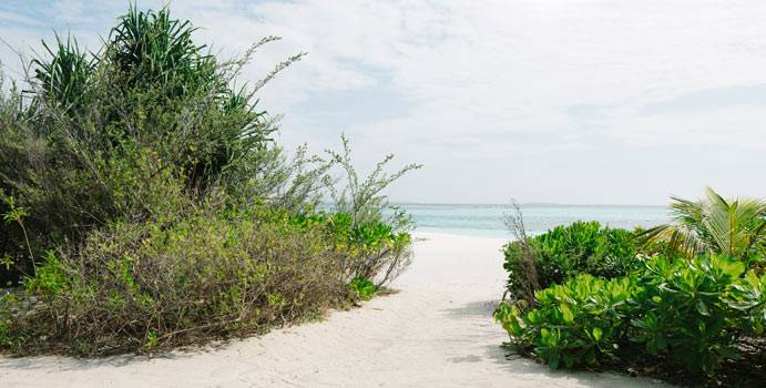Strandzugang, Beach Pool Villa, Noku Maldives