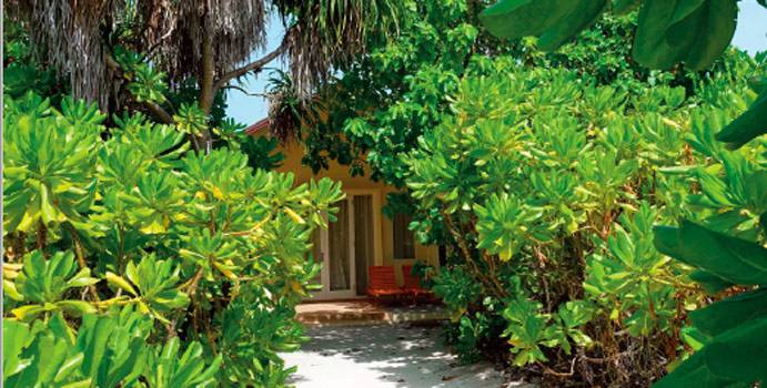 Strandzugang, Deluxe Beach Bungalows, Hondaafushi Island Resort