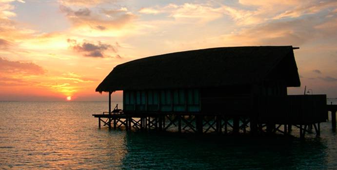 Water Villa mit 1 Schlafzimmer und Pool | Cocoa Island by Como