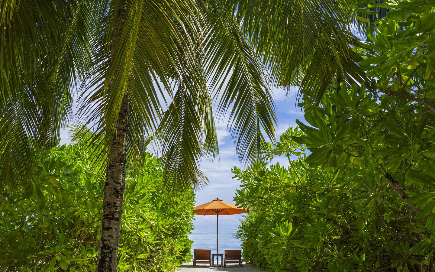 Angsana Three Bedroom Pool Villa, Angsana Velavaru_2