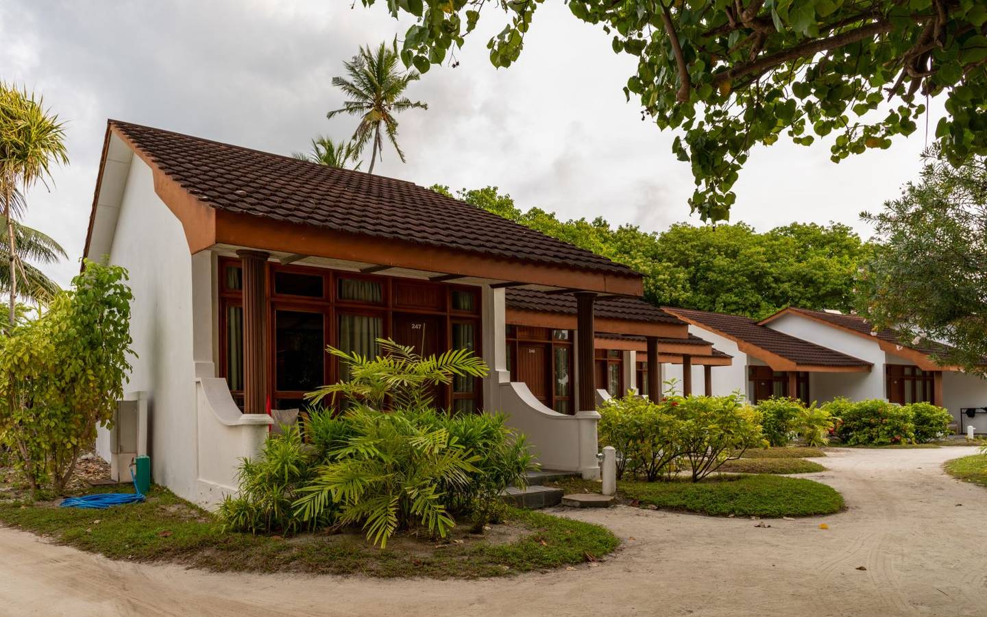 Standard Beachfront Room