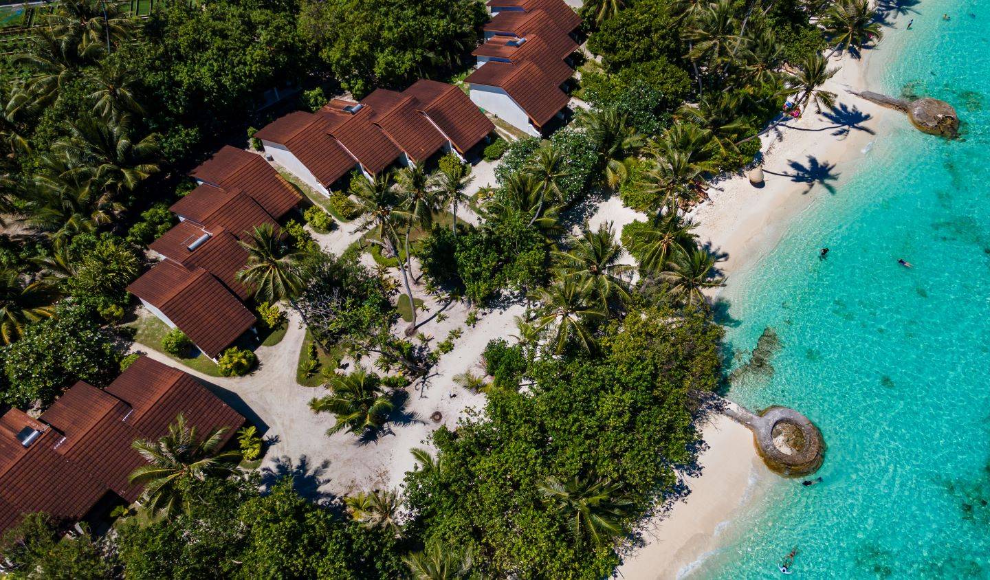 Standard Beachfront Room