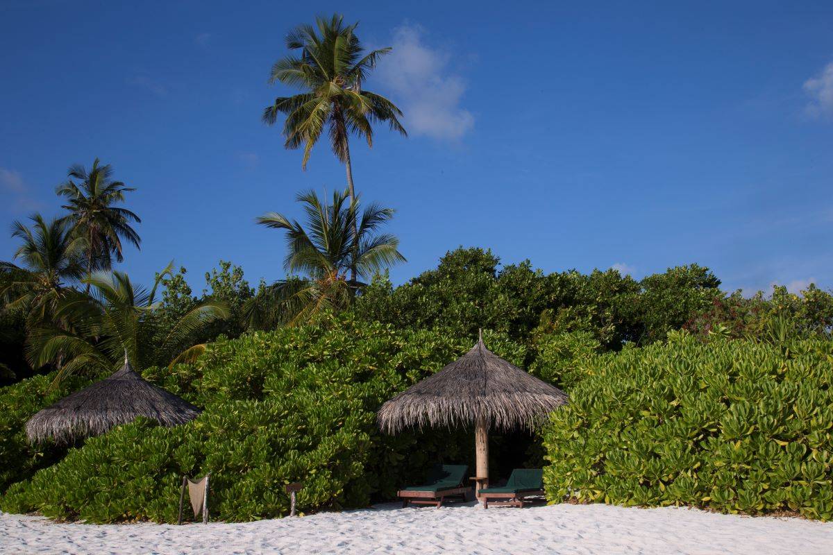 Coco Palm Dhuni Kolhu, Malediven, Sunset Beach Villa, Strand