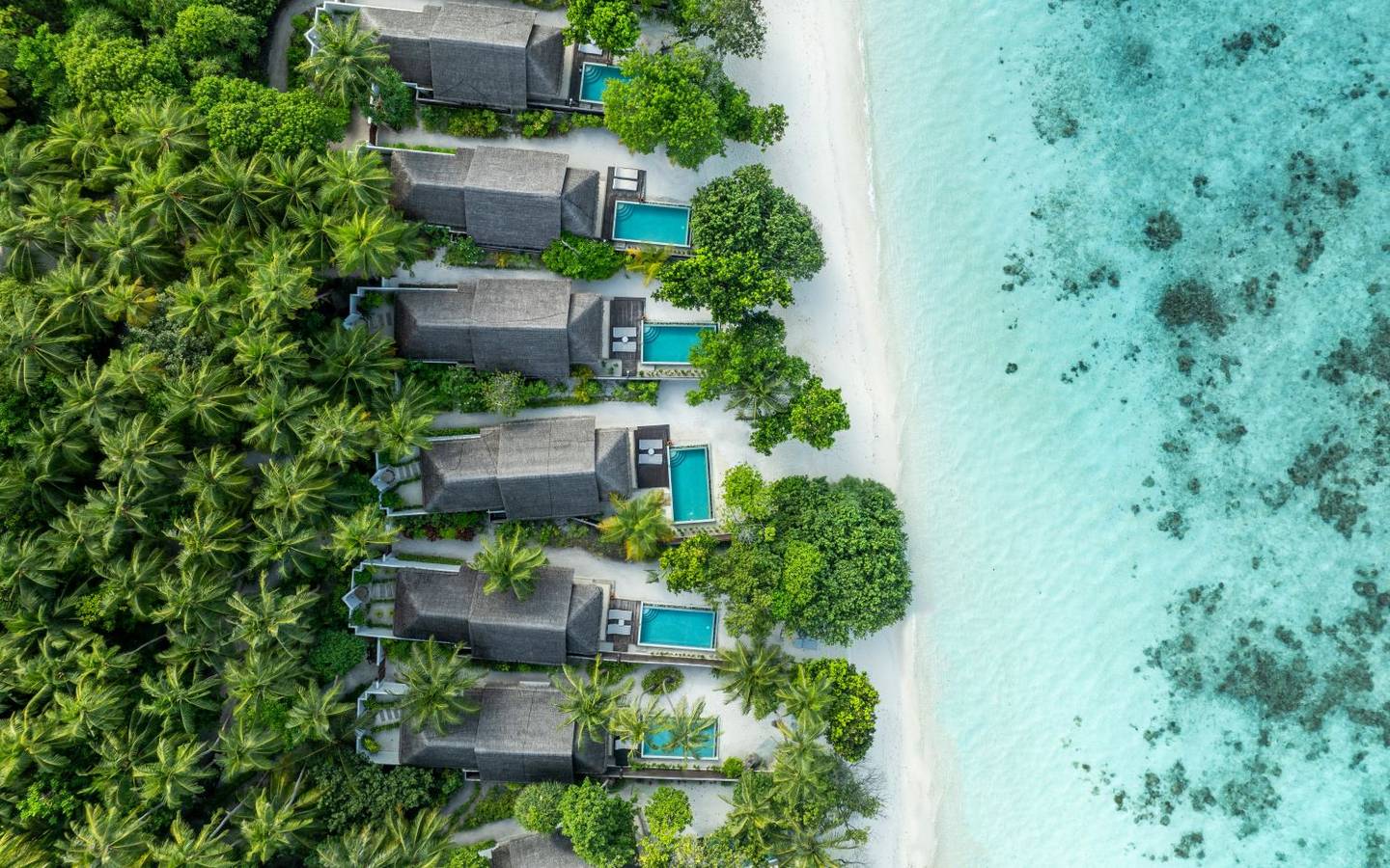 Dusit_Thani_Beachfront_Pool-Villa_2