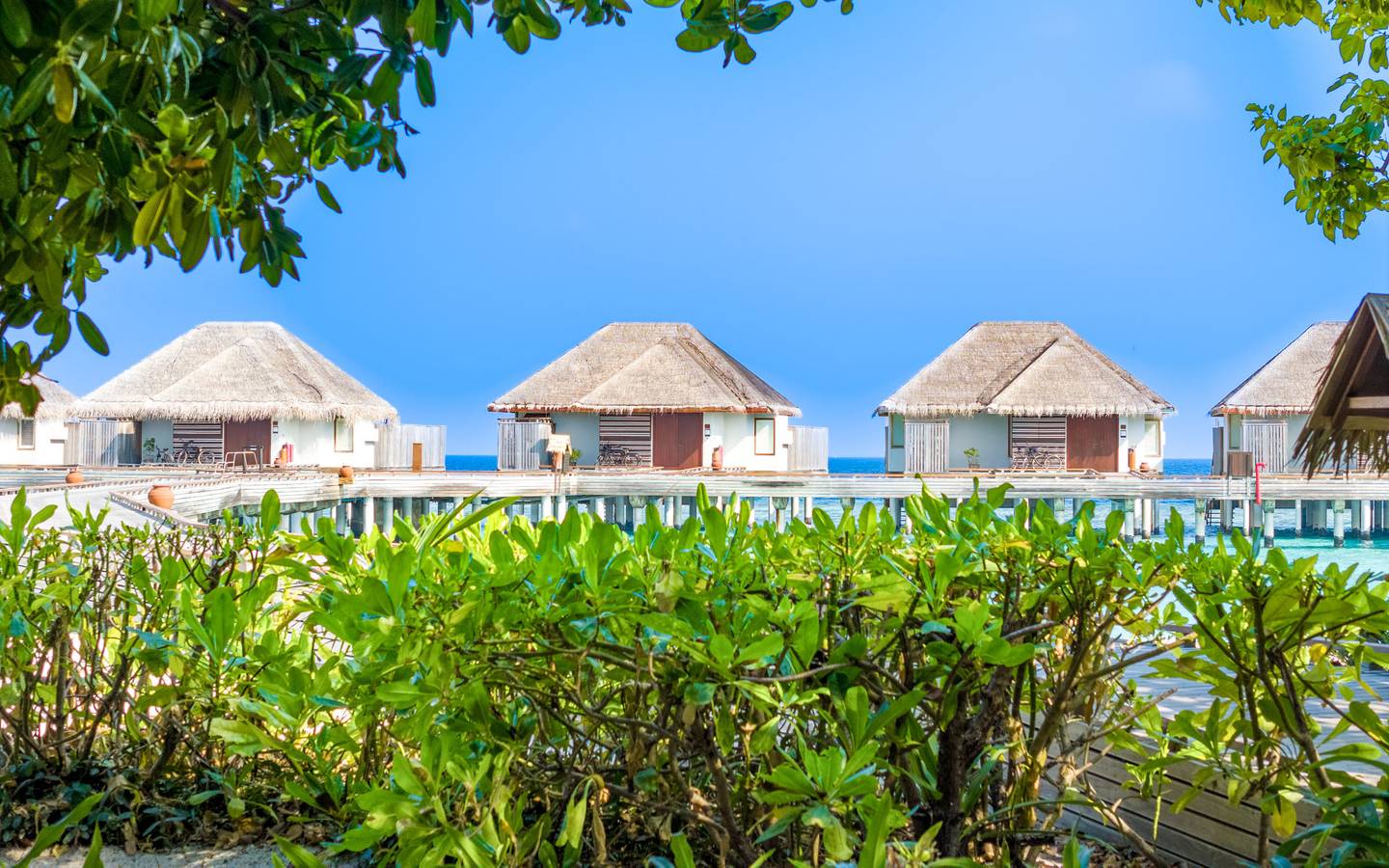 dusit-thani-maldives-accommodation-overwater-villas-exterior-viewdusit-thani-maldives-ocean-villa-with-pool-exterior