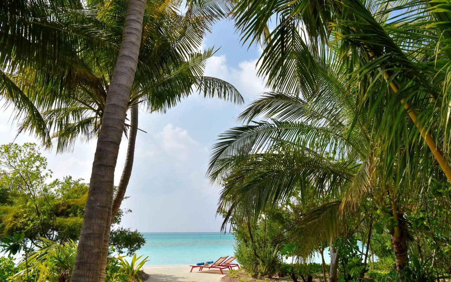 Kandima, Beach Villa with Swirl Pool, Ausblick