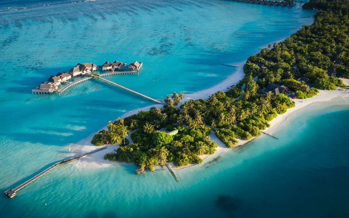 The_Crescent_Niyama Private Islands Maldives 6