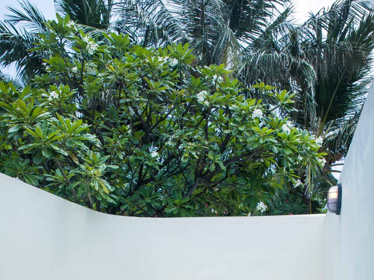 Centara_Lagoon View Beach Villa with Swirl Pool 6