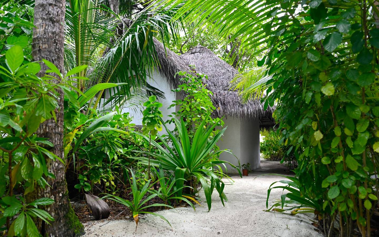 Makunudu Island, Deluxe Bungalow, Eingang