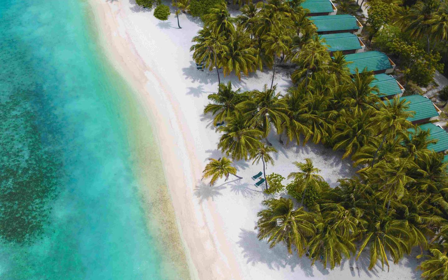 Meeru-Beach-Villa-Aerial_1