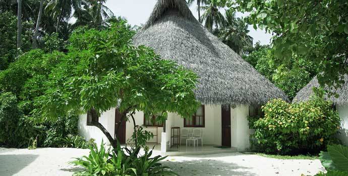 Classic Room, Fihalhohi Island Resort