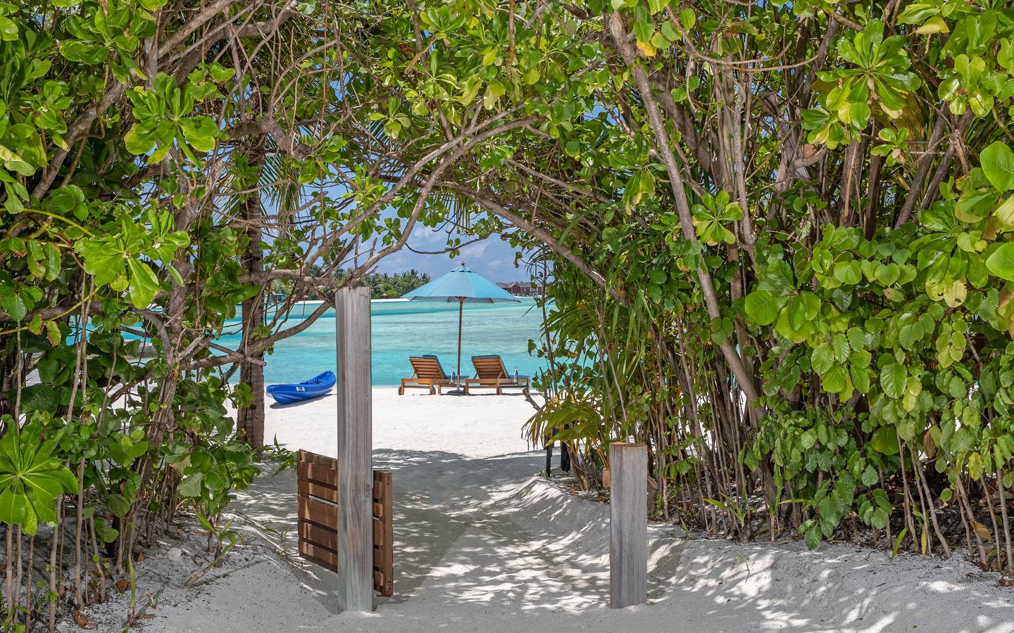 Naladhu_Private_Island_Maldives_Guest_Room_Beach_House_with_Pool_Beach_Entrance