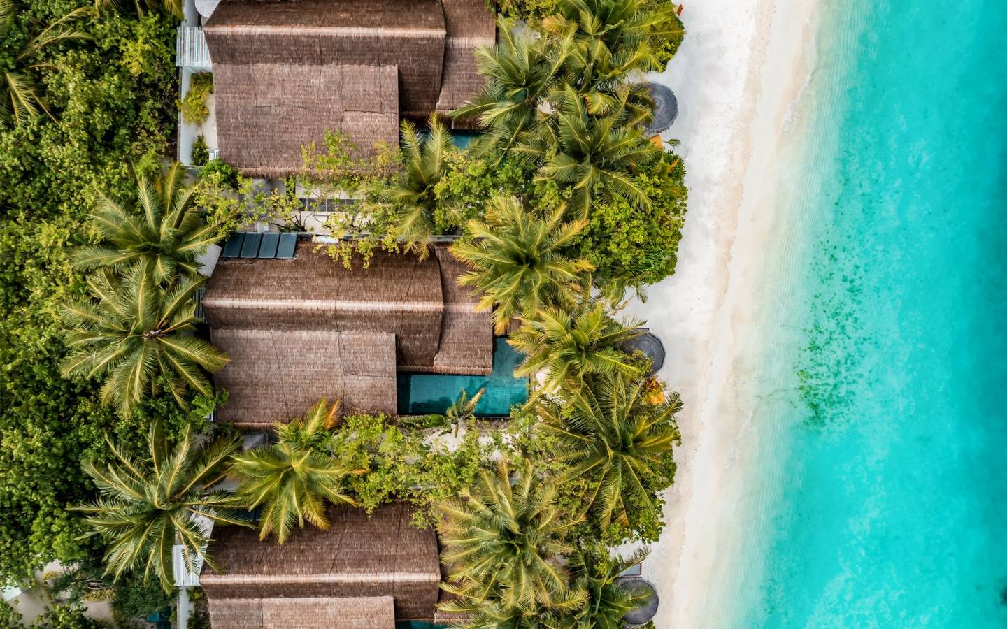 ozen-life-maadhoo-maldives-earth-pool-pavilion-aerial-1