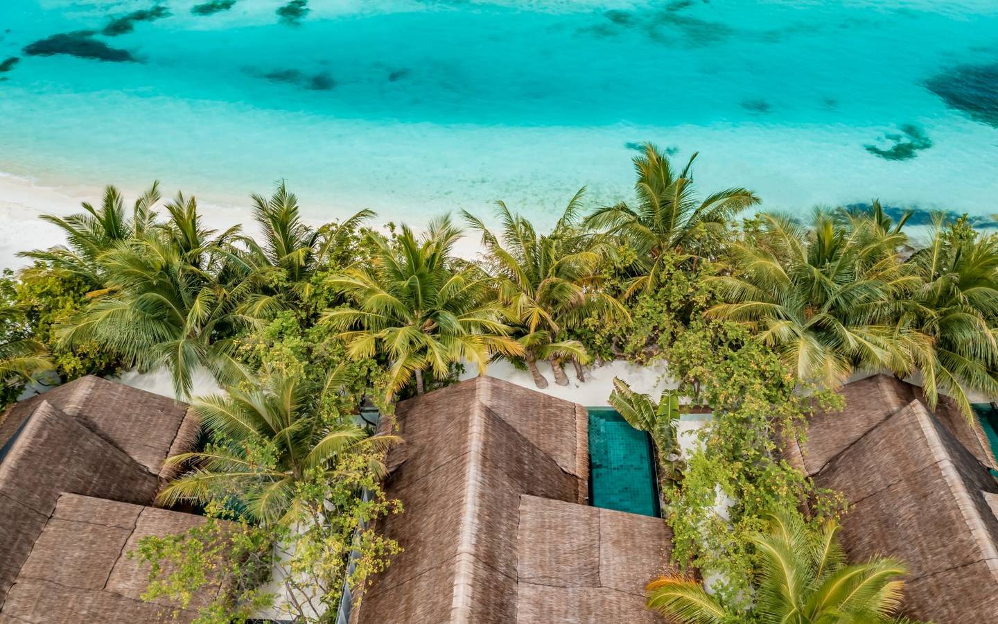 ozen-life-maadhoo-maldives-earth-pool-pavilion-aerial