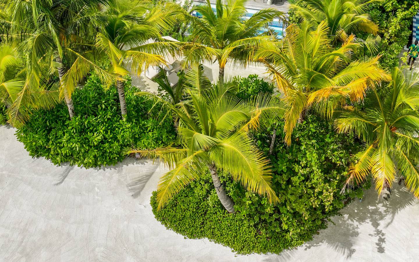 So_Maldives_Family_Beach_Pool_Villa_with_Capsule_2