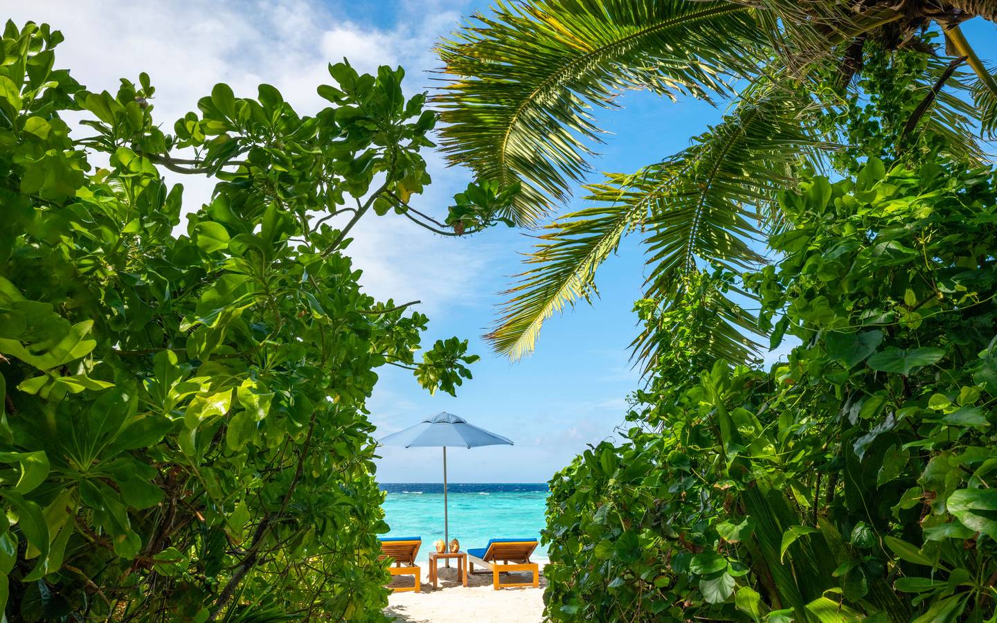 Halcyon_Private_Island_Family_Oceanfront_Beach_Pool_Villa_7