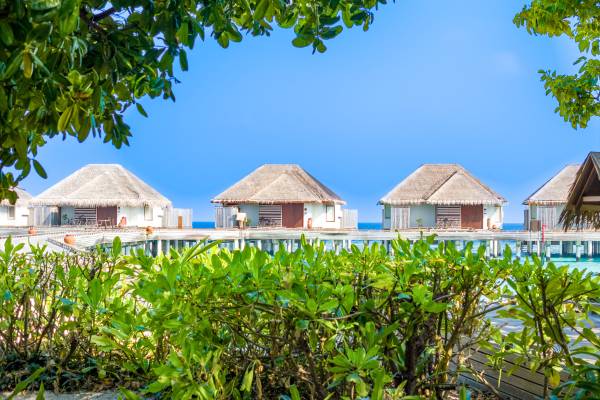 dusit-thani-maldives-accommodation-overwater-villas-exterior-viewdusit-thani-maldives-ocean-villa-with-pool-exterior