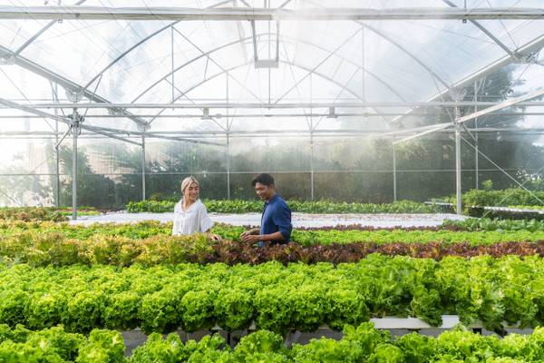 Le_Meridian_Maldives_Farm_2