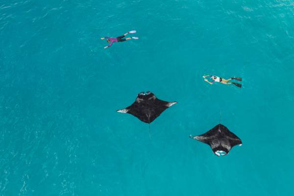 The_Westin_Maldives_Miriandhoo_Resort_News_6