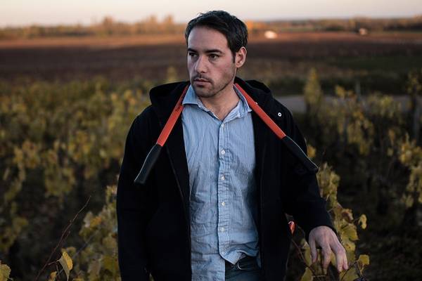 Romaric Chavy_Vineyard