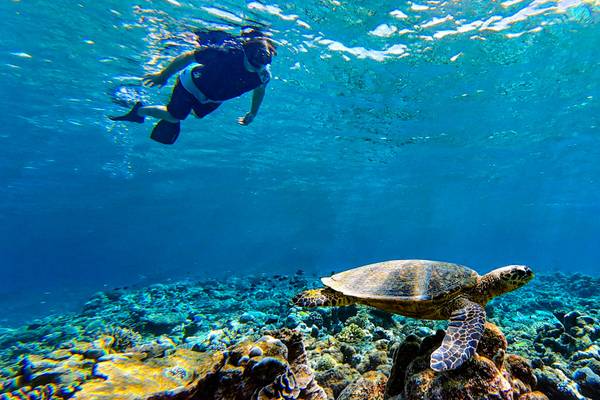 Canareef-Resort-Riff