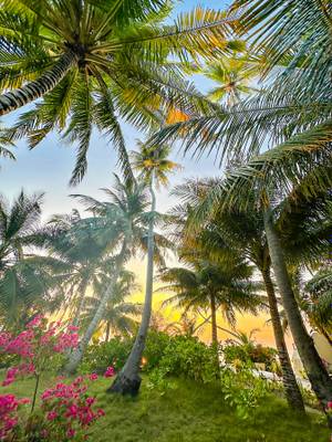 Canareef-Resort-Riff_Insel