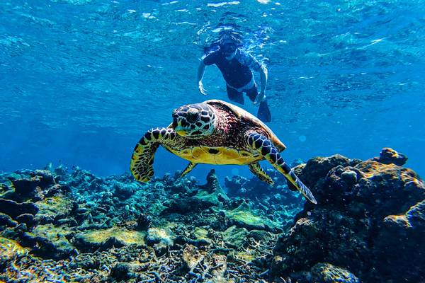 Canareef-Resort-Riff_2