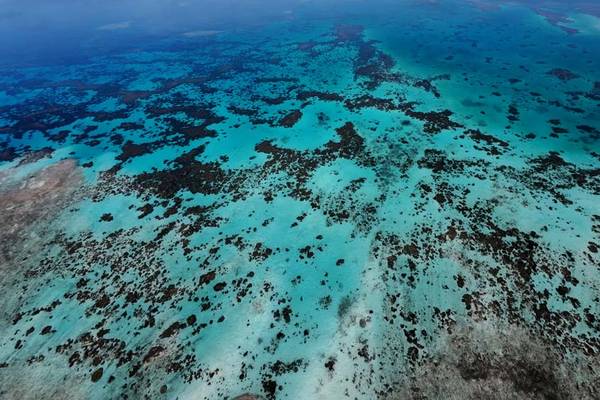 Canareef Resort Drohnenaufnahme