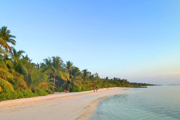 Canareef Resort Strand