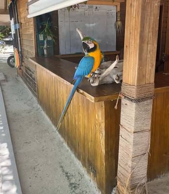 Canareef Resort Aras am Wassersportzentrum