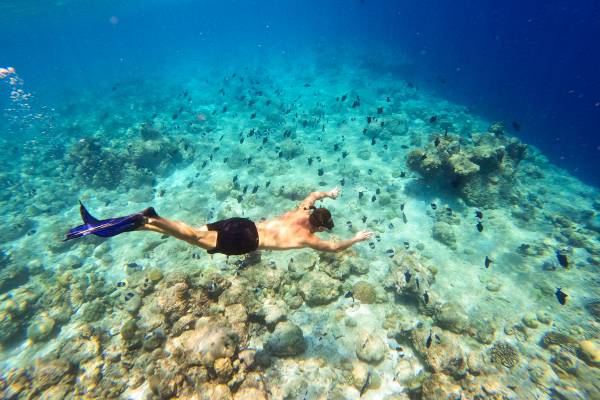 Kuredu_Resort_Maldives_Diving_4