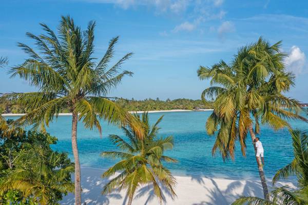 Naladhu_Private_Island_Maldives_Beach_Coconut_Guru