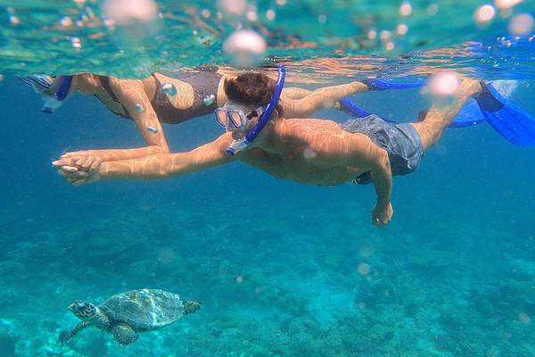 Naladhu_Private_Island_Maldives_Property_Amenity_Snorkelling