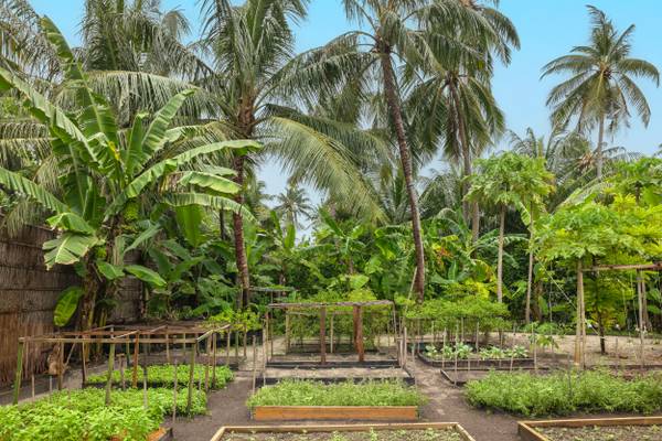 The_Halcyon_Private_Isles_Garden