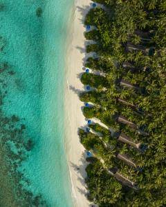 dusit-thani-maldives-exterior-ocean-and-greens