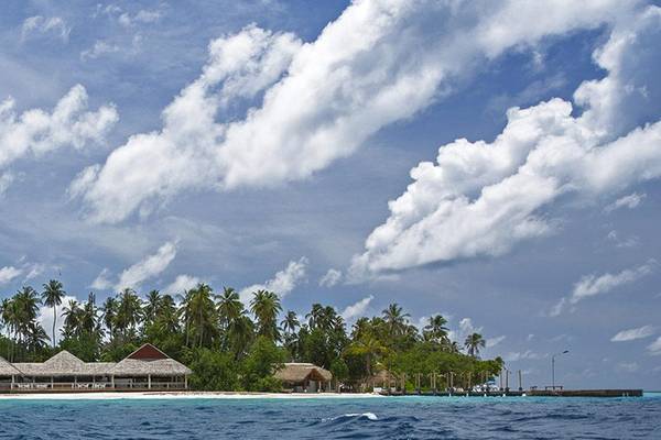 Insel Malahini Kuda Bandos