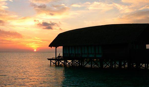 Water Villa mit 1 Schlafzimmer und Pool | Cocoa Island by Como