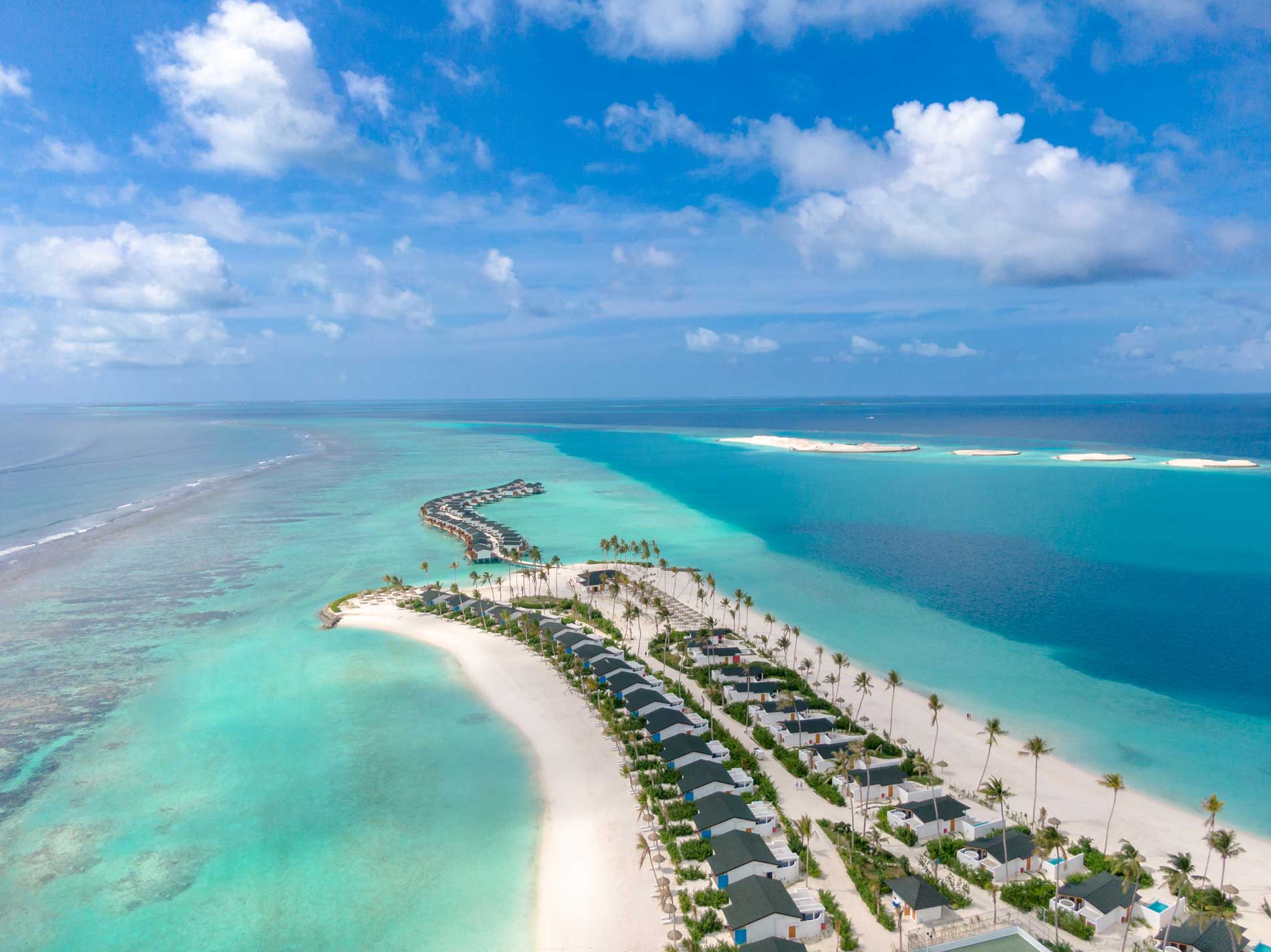 Joy Island The Cocoon Collection