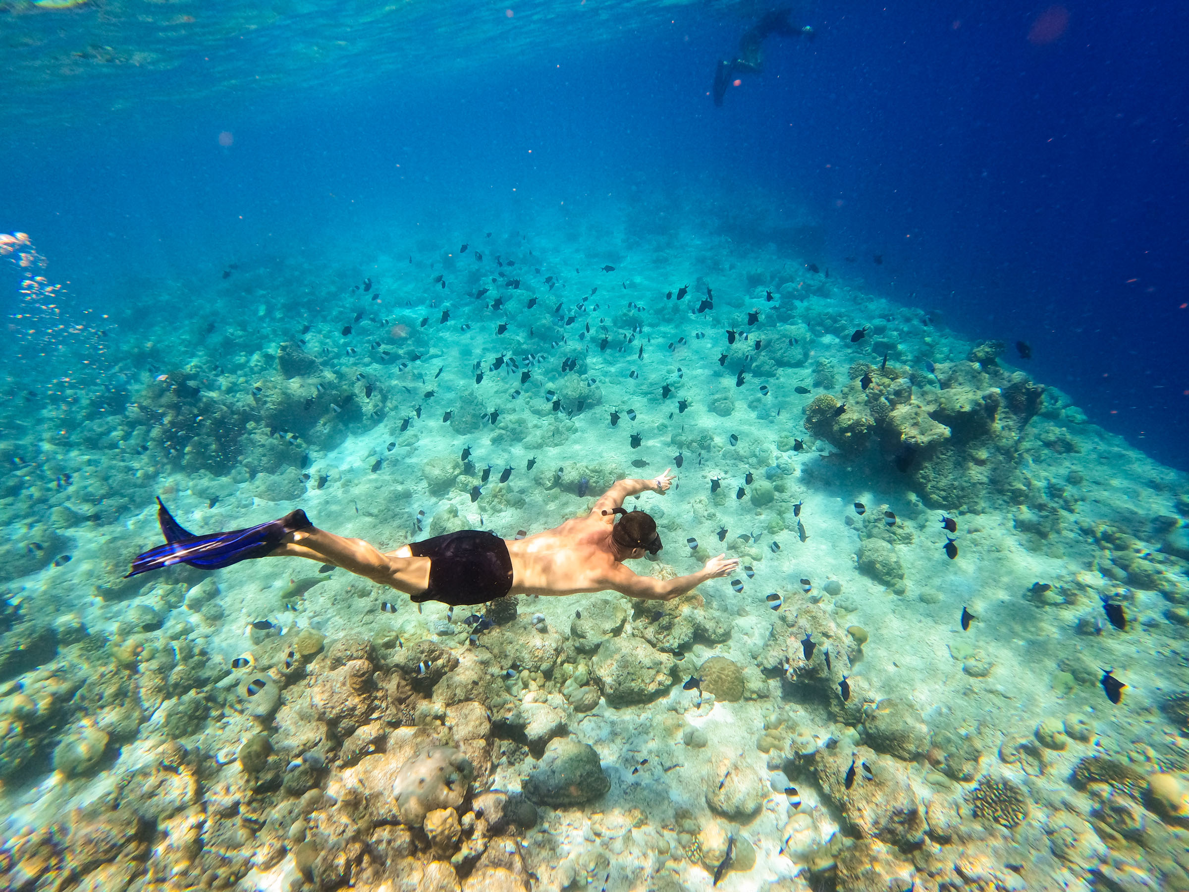Kuredu_Resort_Maldives_Schnorcheln
