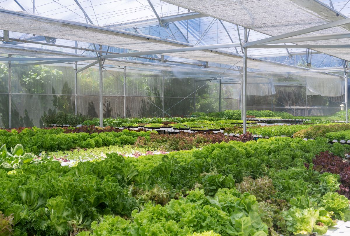 Le Méridien Maldives Resort & Spa