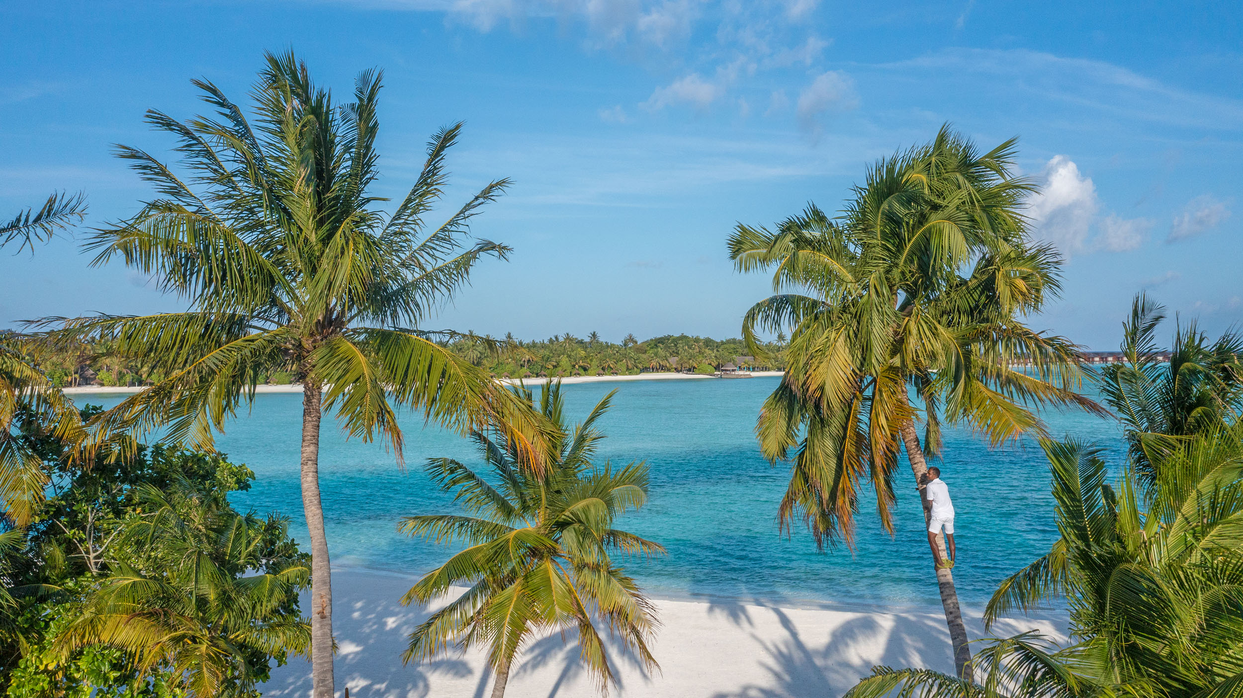 Naladhu_Private_Island_Maldives_Beach_Coconut_Guru