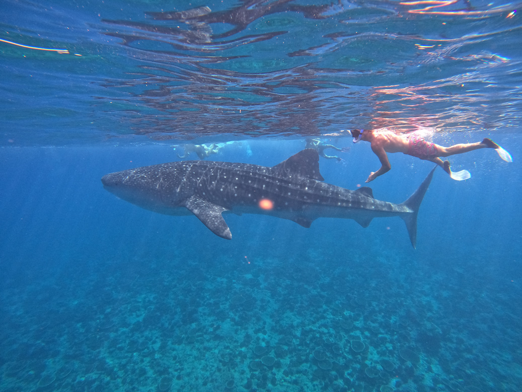 NOOE Maldives Kunaavashi