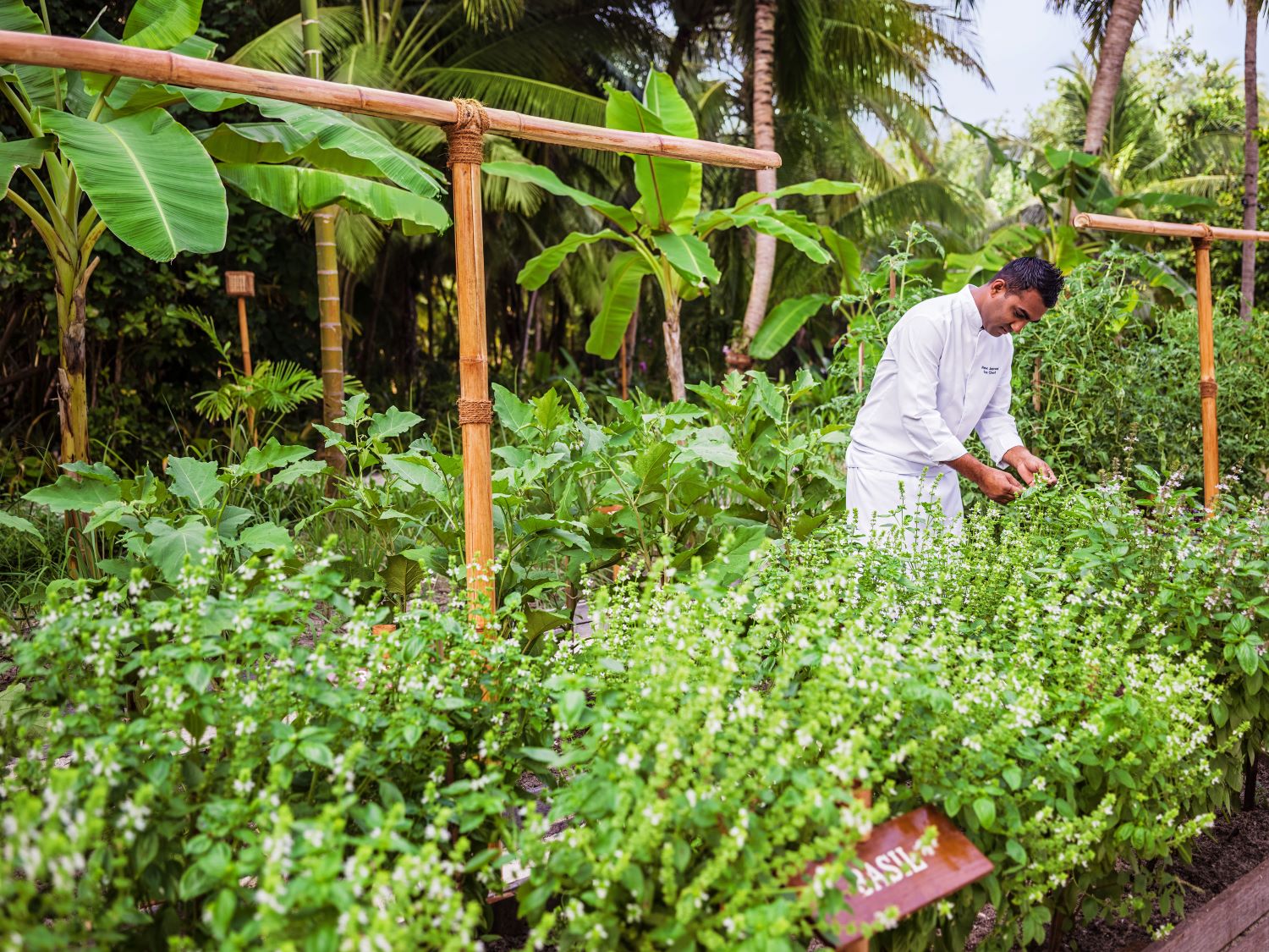 One & Only Reethi Rah